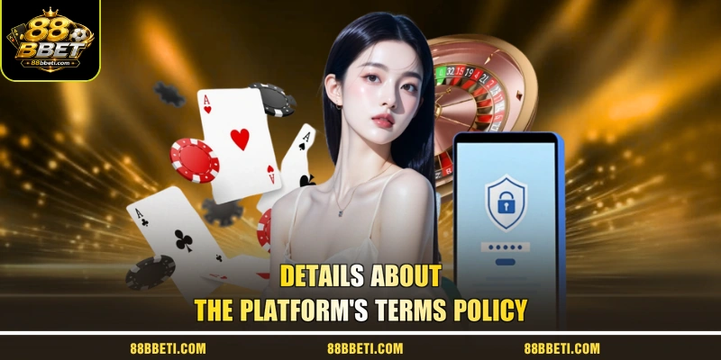 Details About The Platform's Terms Policy